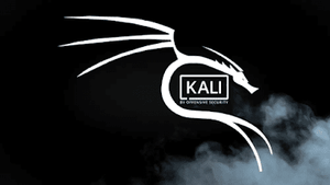 Kali Linux 2020