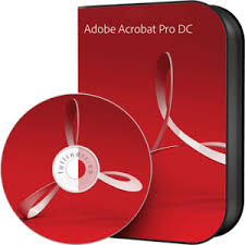 Adobe Acrobat Reader DC 2020.006.20042