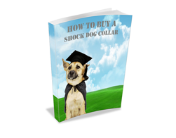 eBook – How to Buy a Shock Dog Collar