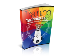 eBook – Training Techniques